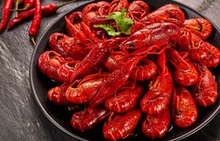 小龍蝦檢測(cè)套餐